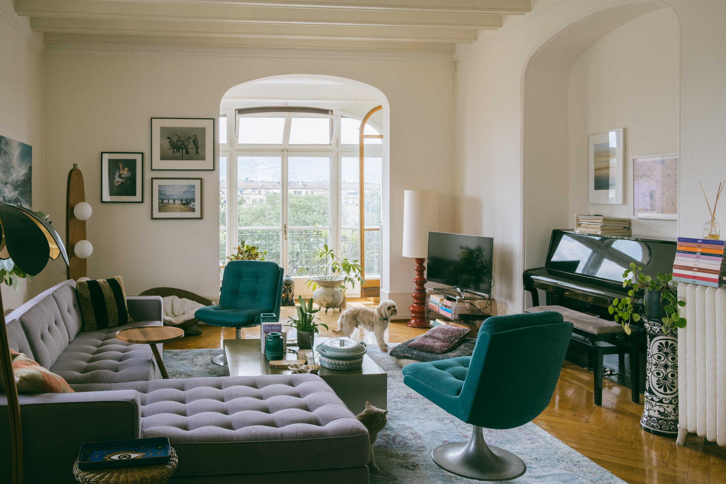 A shot of the living room with bay window featuring Nandi, Anne's cavapoo.