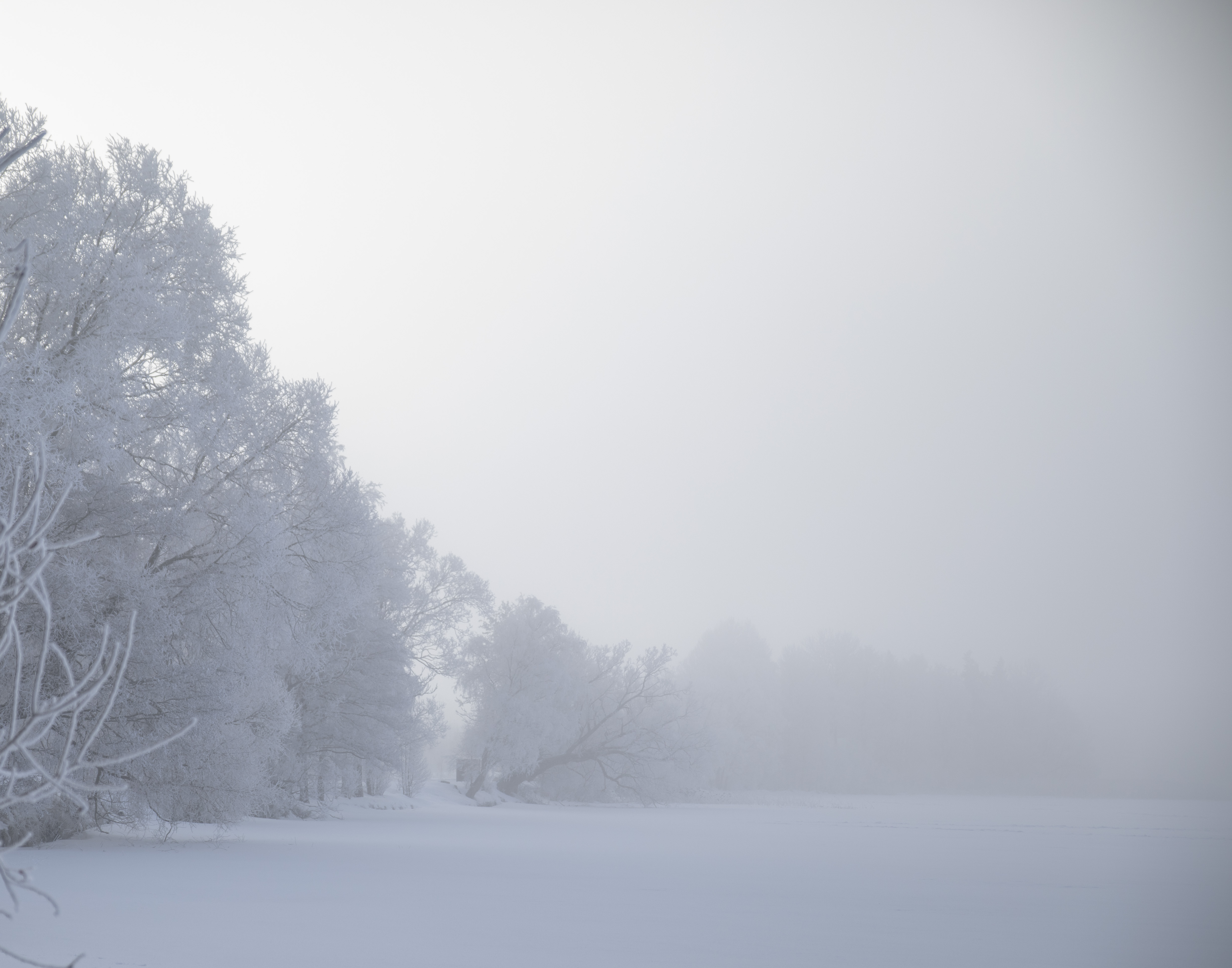A photograph by Julia Astok depiciting a snow covered landscape and trees in Estonia