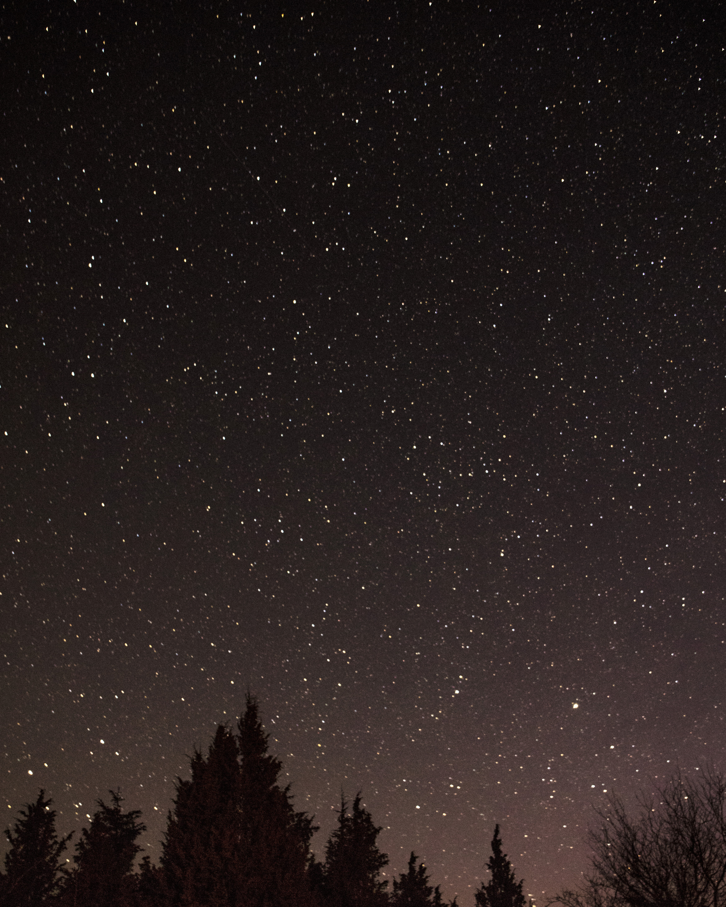 a beautiful starry night sky photographed by Julia Astok