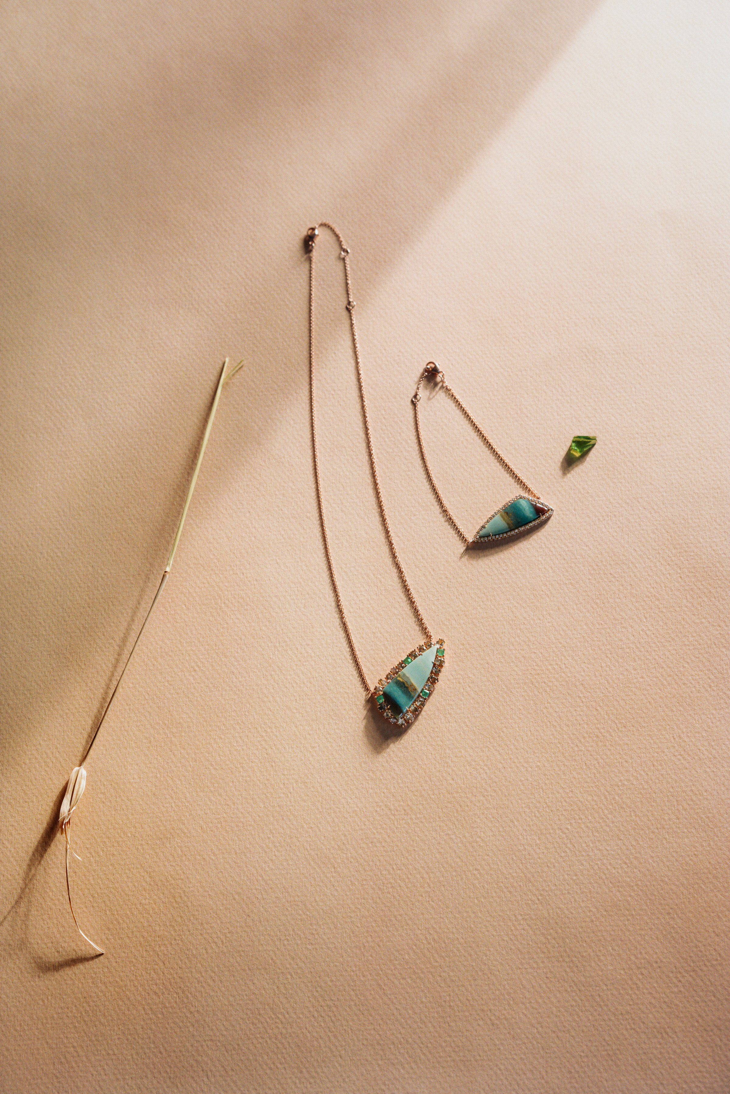 NIna Runsdorf Tree of Life collection 