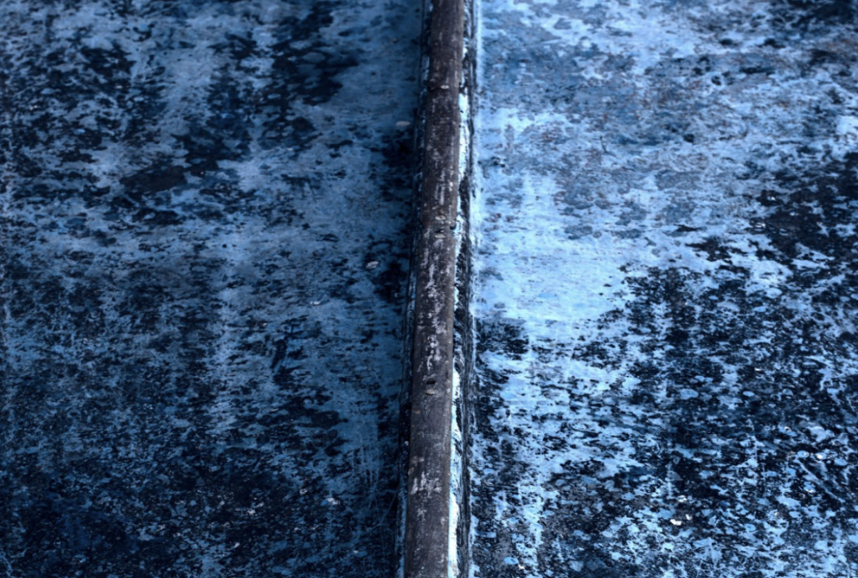 Thumbnail of the Forward category