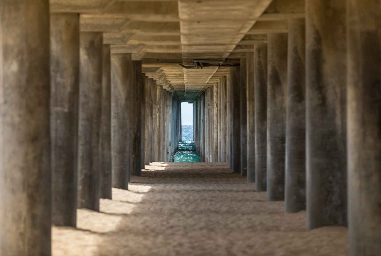 Thumbnail of the Forward category