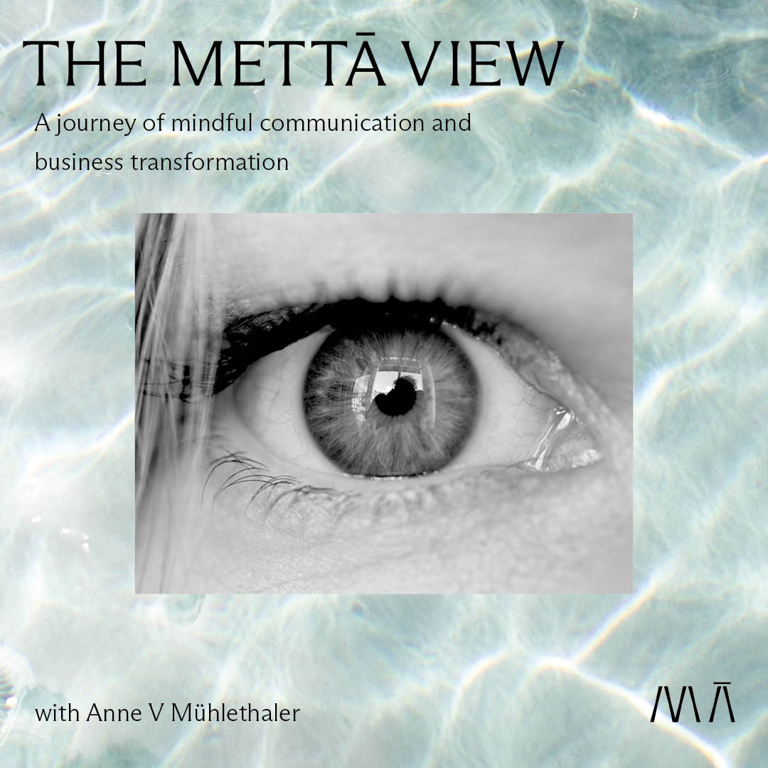 The Metta View podcast audio artwork