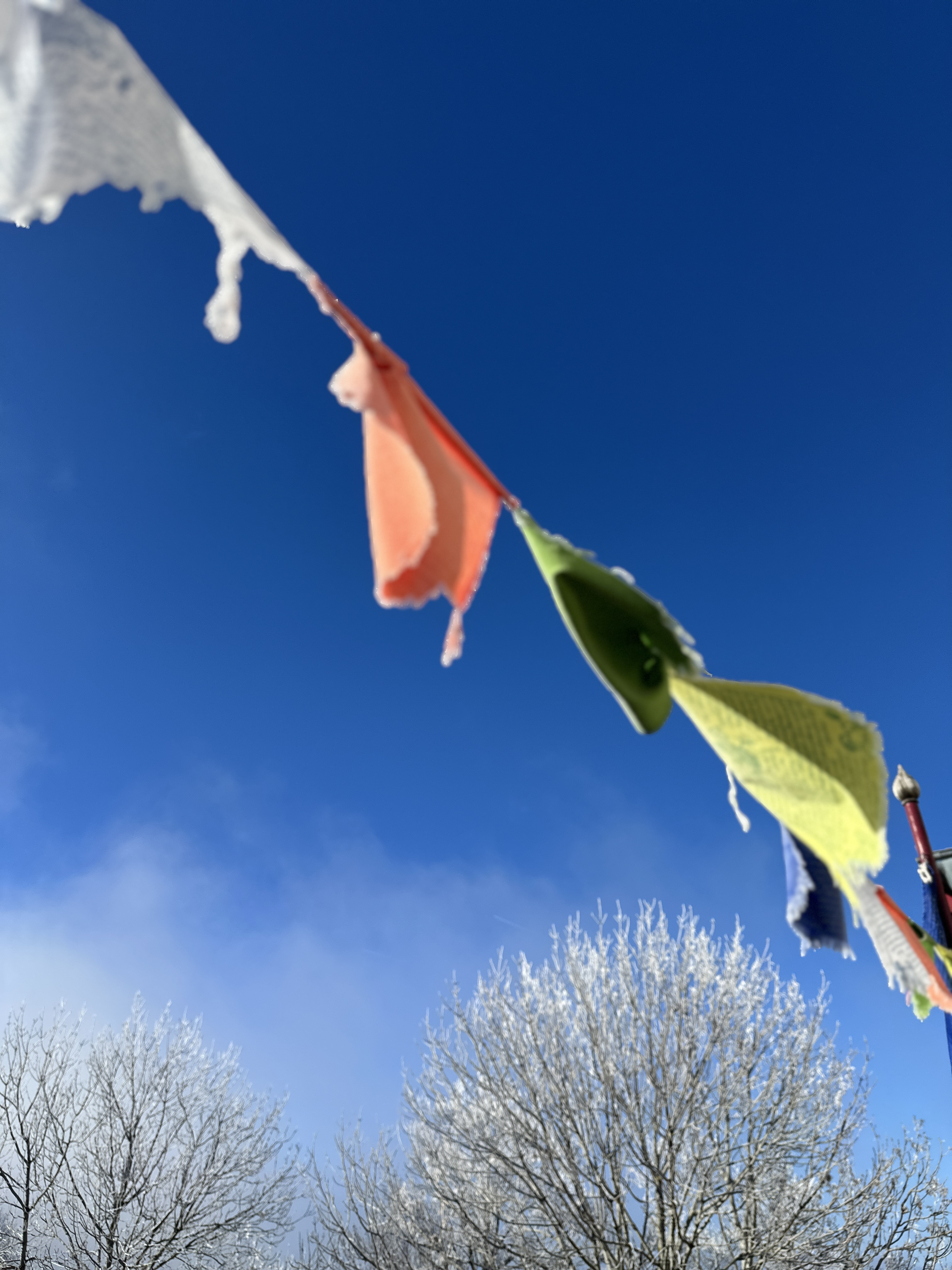 image of tibetan prayers on a line against a blue sky in a centre near Geneva 
