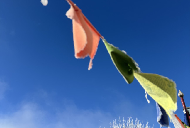 Wintering and what's ahead